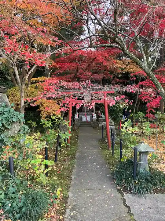本土寺(千葉県)