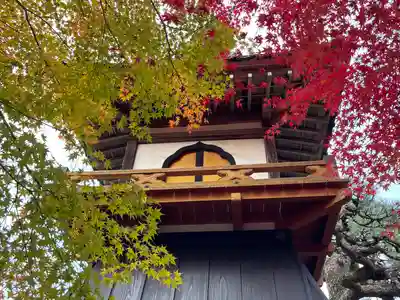 本誓寺(東本誓寺)(滋賀県)