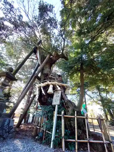 川尻八幡宮(神奈川県)