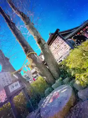 櫻木神社(千葉県)