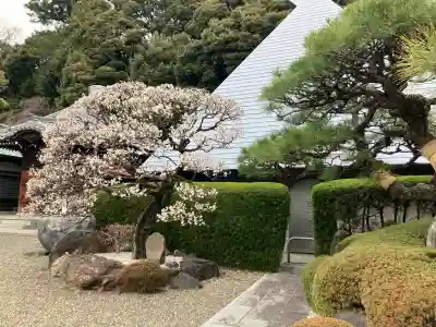 大坊本行寺の{uncategorized: "未分類", other: "その他", undefined: "問題あり", building: "その他建物", grave: "お墓", sacred_gate: "鳥居", guardian: "狛犬", statue: "像", buddha: "仏像", history: "歴史", nature: "自然", garden: "庭園", animal: "動物", pagoda: "塔", temizu: "手水舎", mountain_gate: "山門・神門", sanctuary: "本殿・本堂", subordinate: "末社・摂社", art: "芸術", scenery: "景色", jizo: "地蔵", ema: "絵馬", goshuin: "御朱印", omikuji: "おみくじ", items: "授与品その他", amulet: "お守り", goshuincho: "御朱印帳", eats: "食事", festival: "お祭り", votive_dance: "神楽", shichigosan: "七五三参", wedding: "結婚式", experience: "体験その他", initially: "初詣", around: "周辺", anti_infection: "感染症対策"}