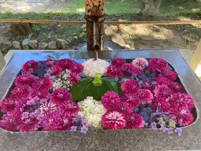 坂本八幡神社(徳島県)