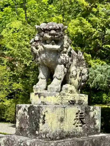 出雲大神宮の狛犬