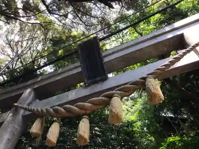 児玉神社の鳥居