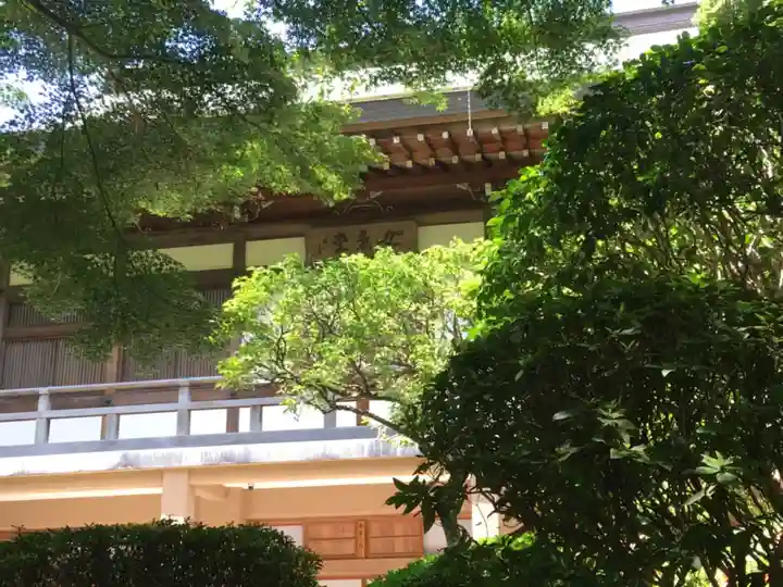 報国寺(神奈川県)