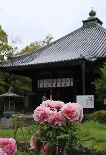 乙訓寺(京都府)