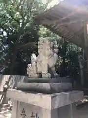 櫛玉比賣命神社(愛媛県)