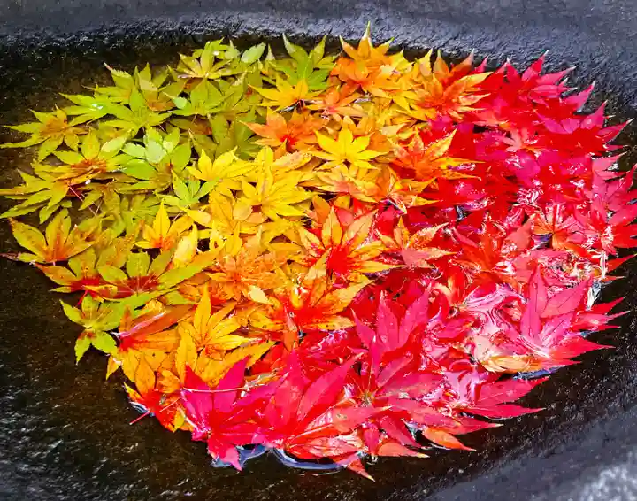 真言宗 善通寺派 薬王寺(香川県)