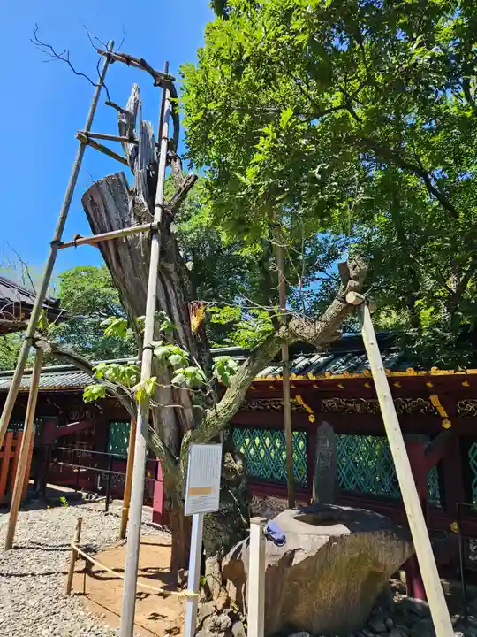 上野東照宮(東京都)