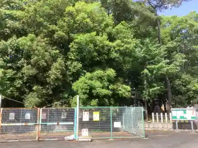 月之宮社の自然