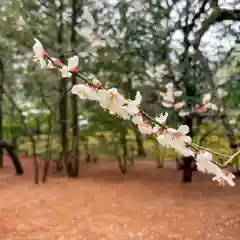 祥雲寺(東京都)