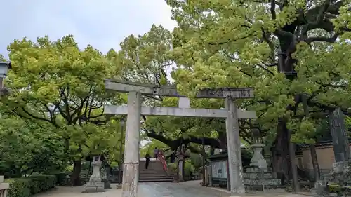 太宰府天満宮の鳥居