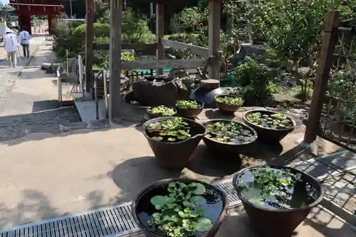 大日寺のその他建物