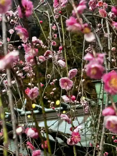 赤間神宮(山口県)