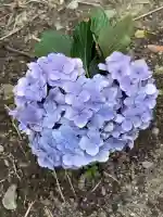 性海寺(愛知県)