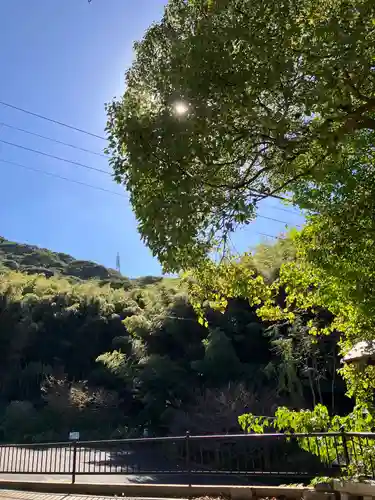 大山祇神社(福岡県)