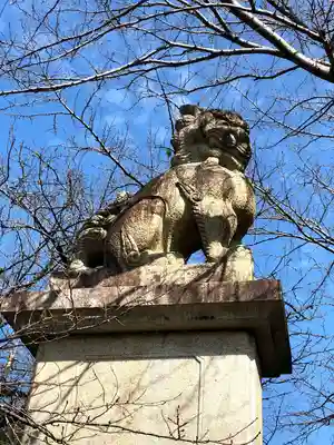 今山八幡宮の狛犬