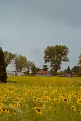 沢山神社（澤山神社)(新潟県)