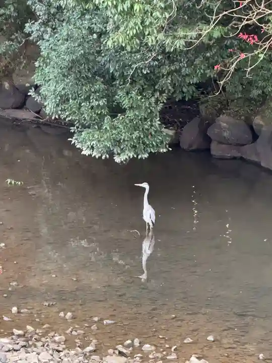 宇佐神宮(大分県)