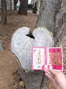 厚別神社(北海道)(2023年04月25日(火) 09時58分07秒投稿)