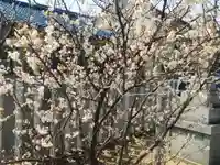 布忍神社(大阪府)