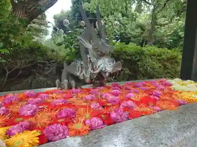 よみうりランド観音(東京都)