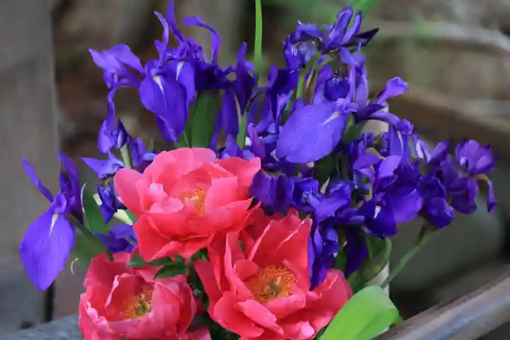 高司神社〜むすびの神の鎮まる社〜の手水舎