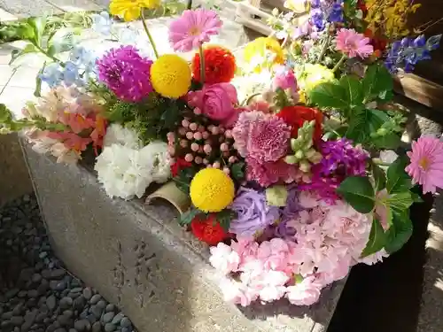 勝林寺(京都府)