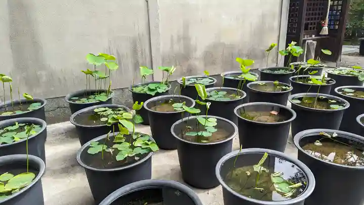 行願寺(革堂)(京都府)