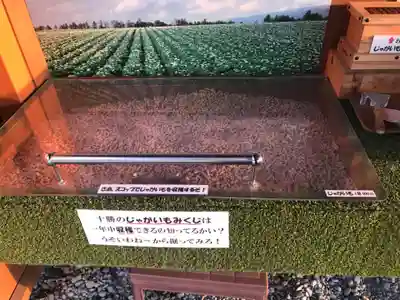 浦幌神社・乳神神社のおみくじ