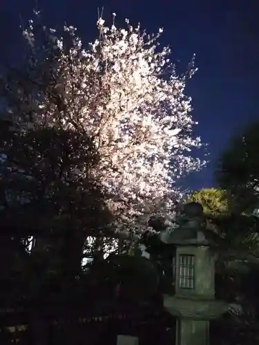 龍華寺(神奈川県)