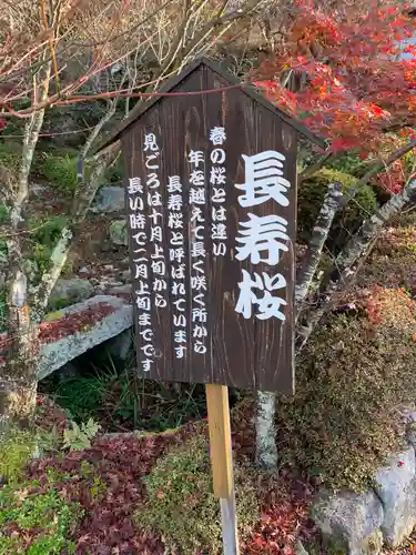 百済寺のその他建物