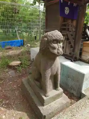 櫻岡大神宮の狛犬