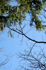 帯廣神社の動物