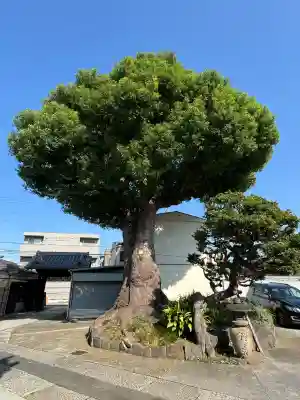 観音寺(東京都)