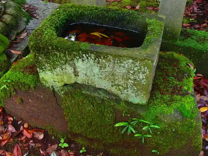 大洗磯前神社の手水舎