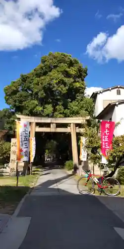 鳴尾八幡神社(兵庫県)