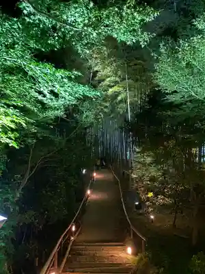 高台寺（高台寿聖禅寺・高臺寺）(京都府)