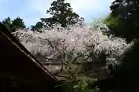 吉野水分神社(吉野町)(奈良県)
