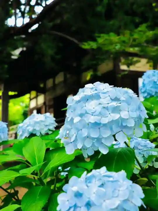 宝戒寺(神奈川県)