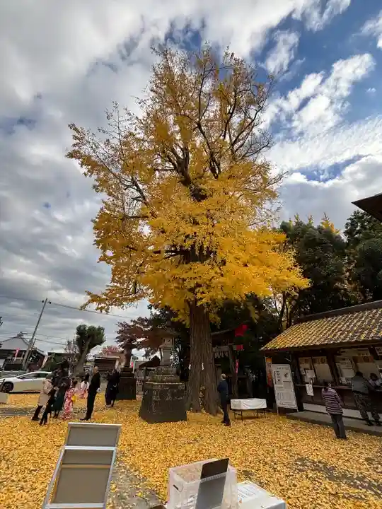 下総国三山 二宮神社(千葉県)