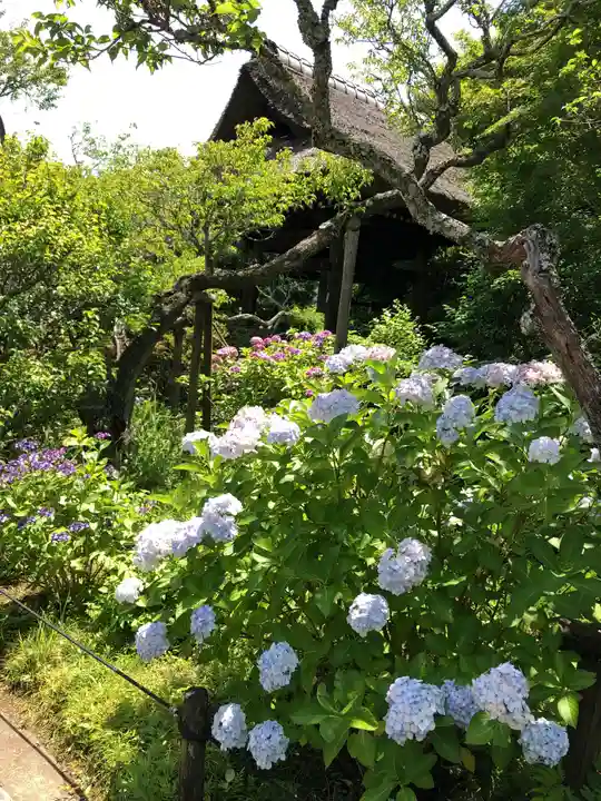 東慶寺のその他建物