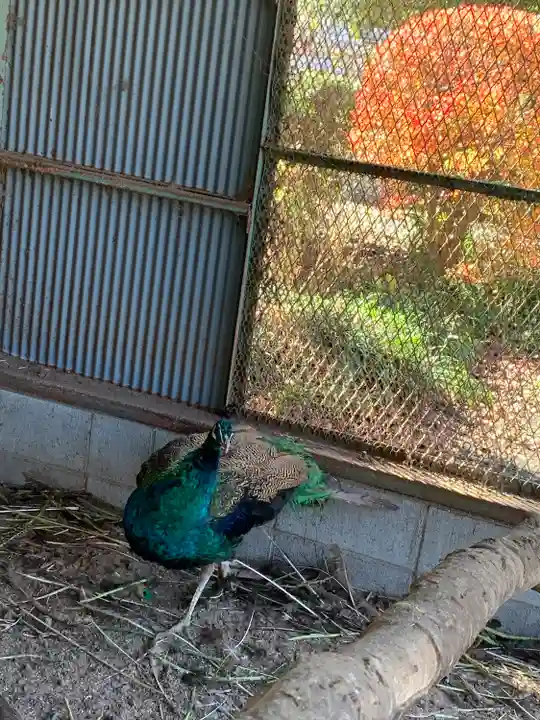大山寺(茨城県)