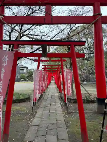 於菊稲荷神社の鳥居