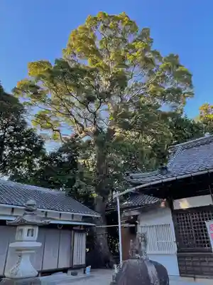 神前神社(三重県)