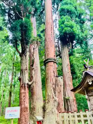 高倉神社(福島県)