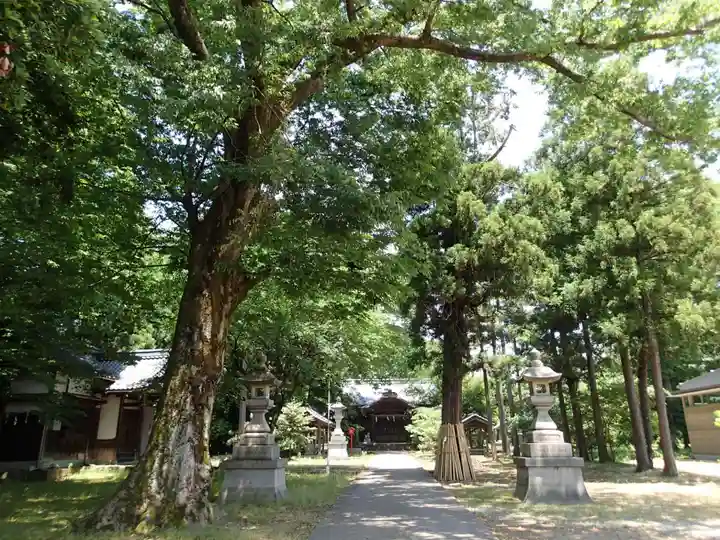 春日神社・井口神社のその他建物