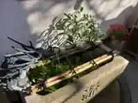 市比賣神社(京都府)