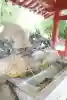 浅草神社(東京都)