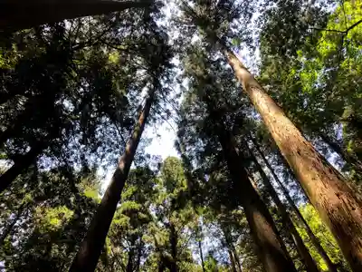 穴森神社の自然